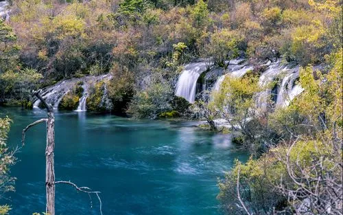 智能高性能